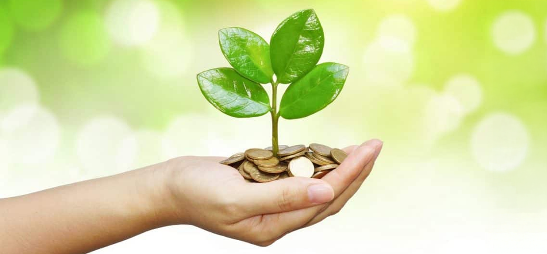 A hand holds a small plant growing from a pile of coins, symbolizing financial growth and investment, with a blurred green background.